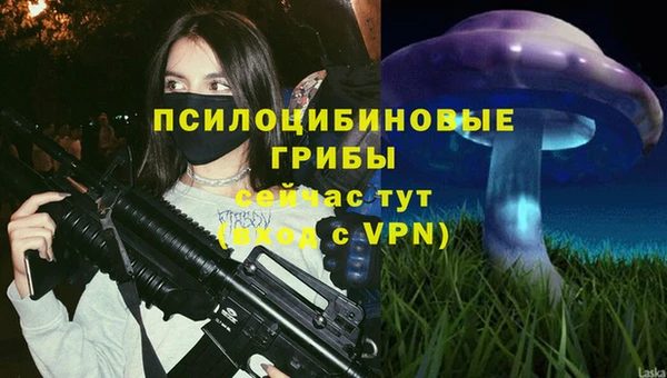 каннабис Баксан