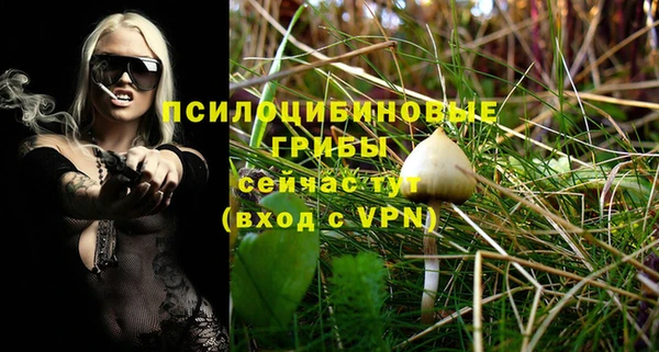 МДПВ Балахна