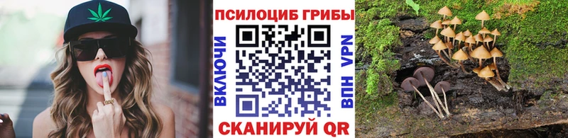 Псилоцибиновые грибы Cubensis  Прохладный 